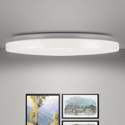 fsl 佛山照明 led吸顶灯 25w全白 5700k色温