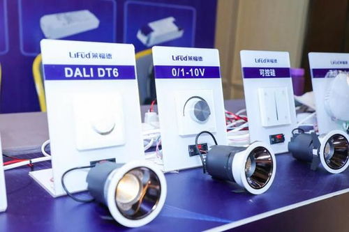 莱资讯 全面推进国内市场发展