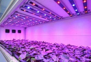 2017安徽农业照明及智能环控技术展览会